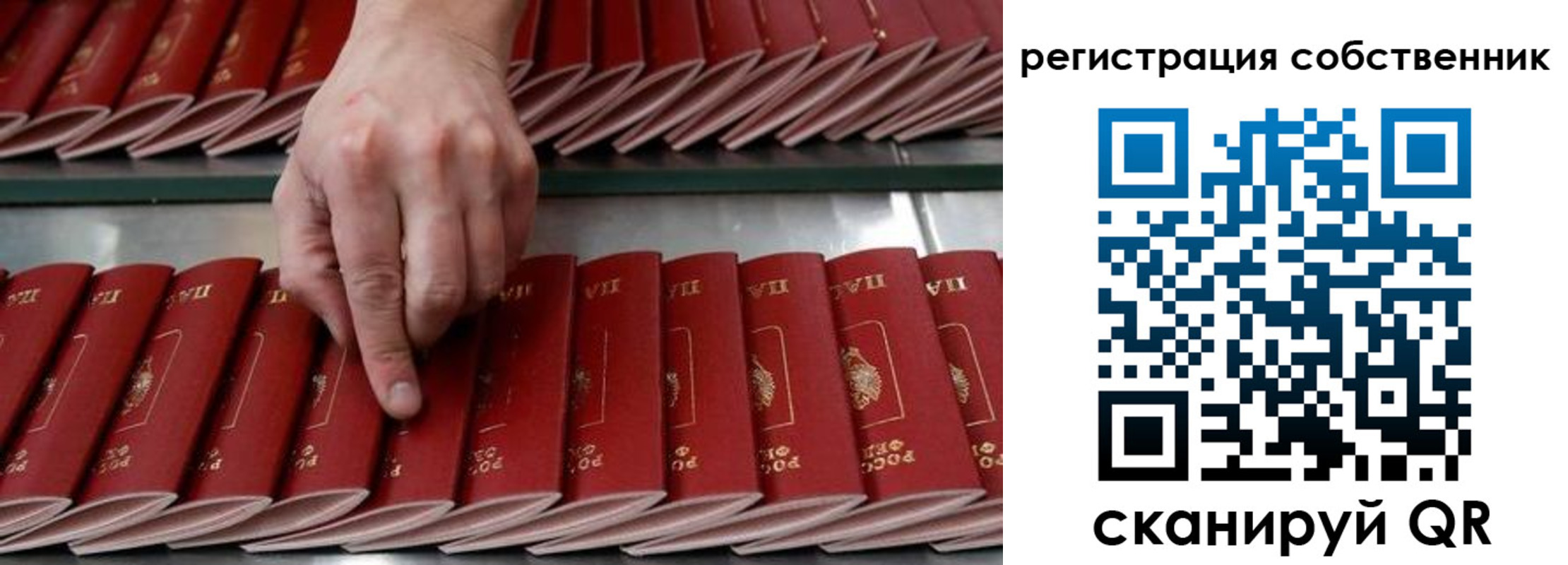 прописка ребенка в Волоколамске